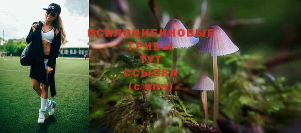 круглые Аркадак