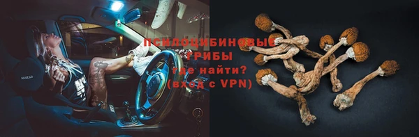 круглые Аркадак