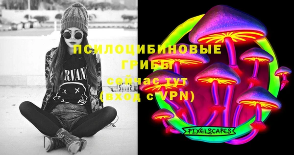 apvp Балахна