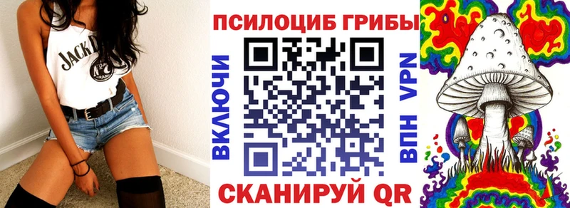Галлюциногенные грибы Psilocybine cubensis  Кыштым 